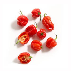 Red Habanero - Seed